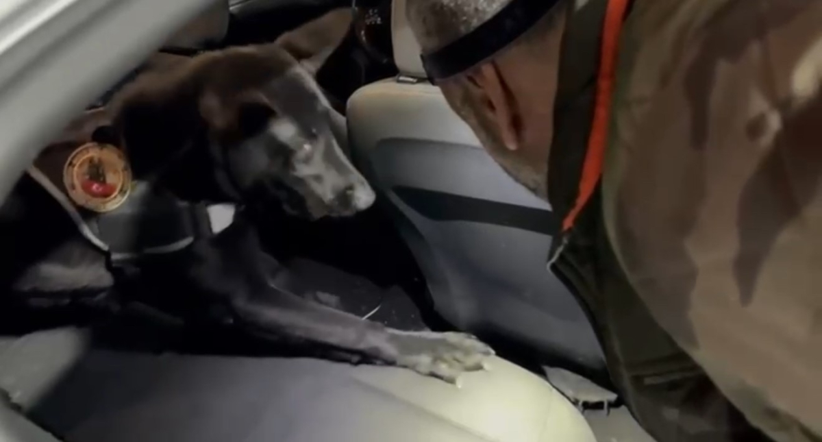 Narkotik dedektör köpeği aracın döşemesine gizlenmiş uyuşturucu buldu: 3 gözaltı
