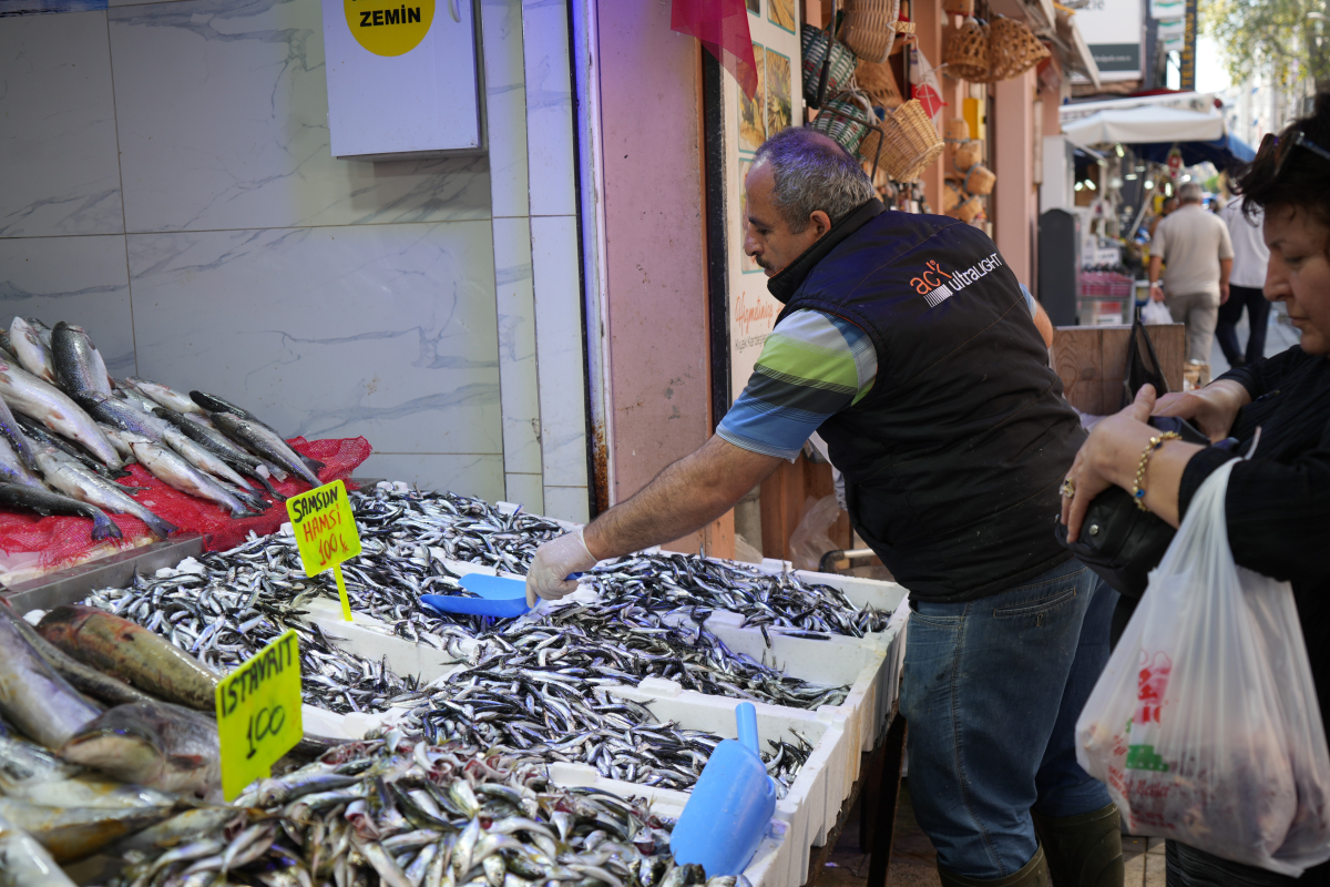 Karadeniz'in incisi hamsi tezgahlarda: Ne alırsan 100 TL