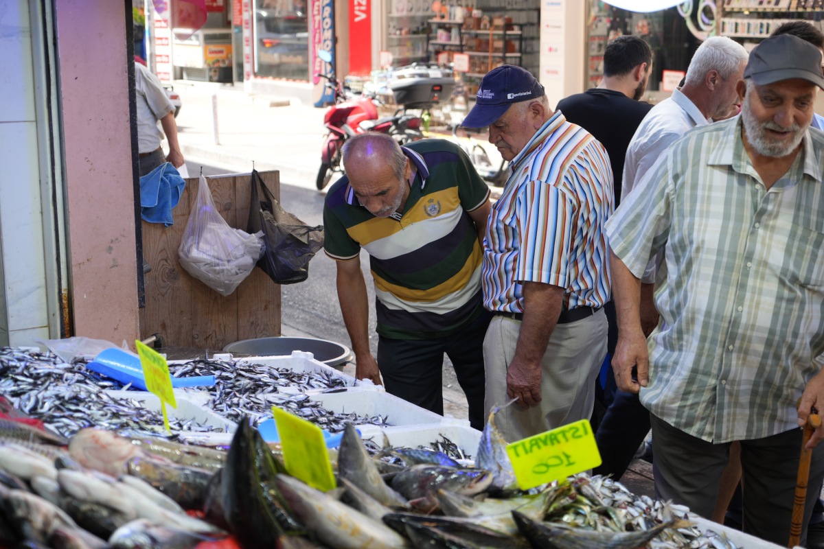 Karadeniz'in incisi hamsi tezgahlarda: Ne alırsan 100 TL