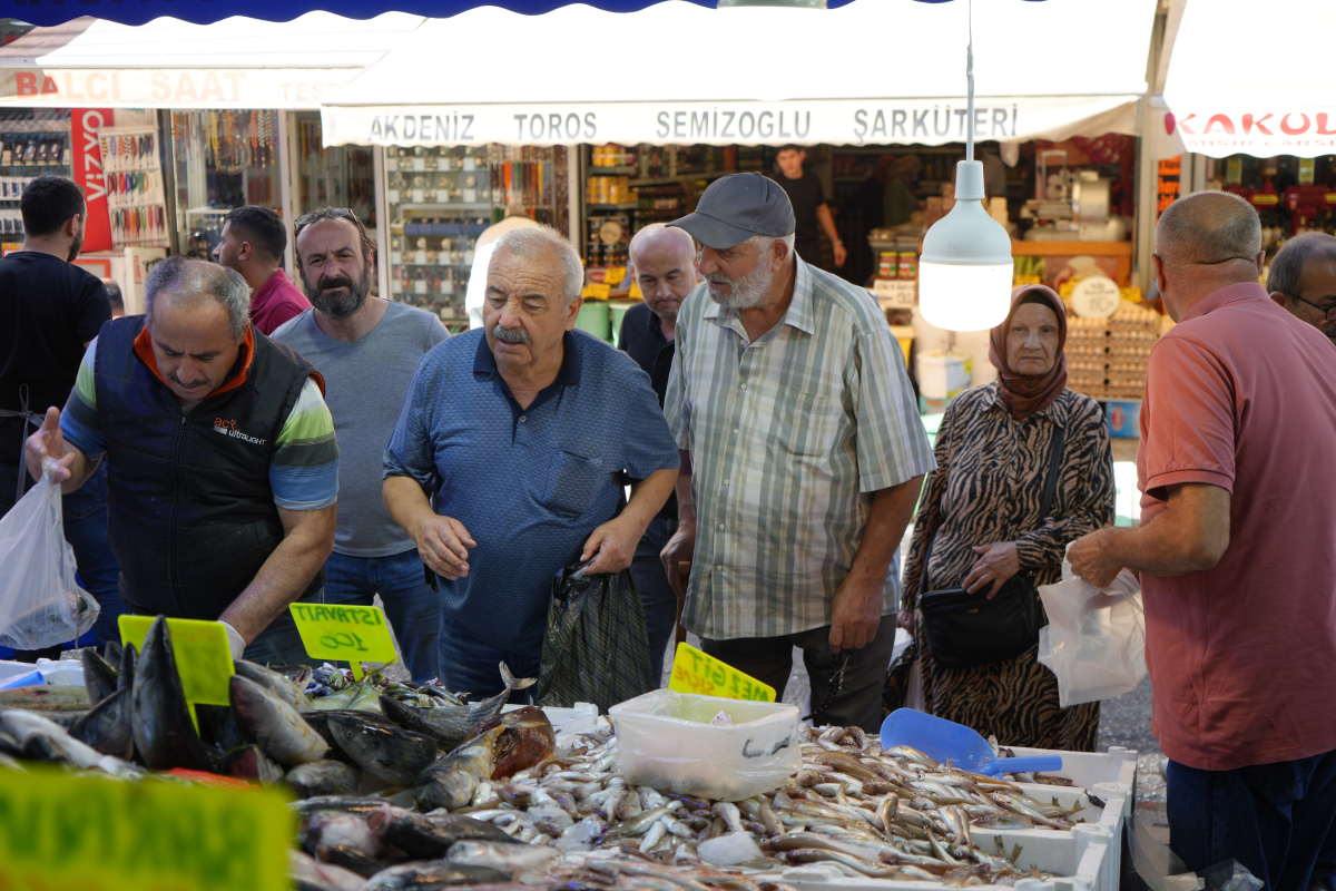 Karadeniz'in incisi hamsi tezgahlarda: Ne alırsan 100 TL