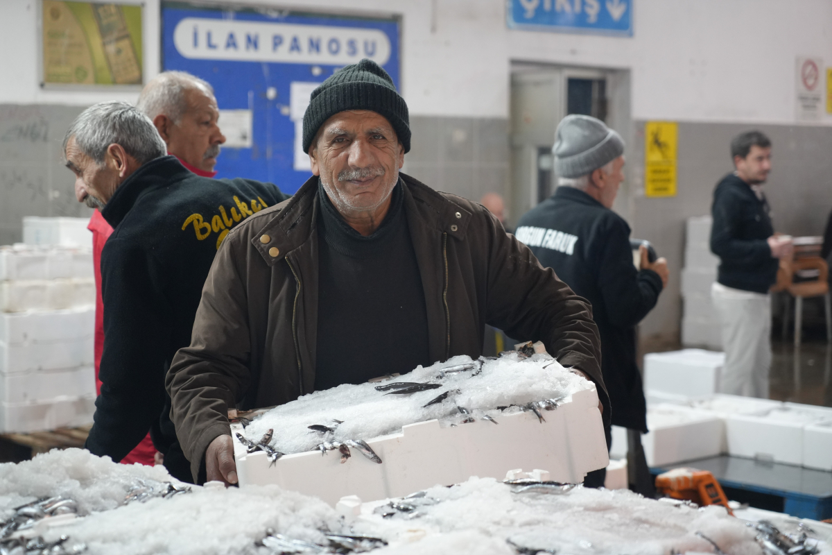 Balık mezadında hareketlilik: Kasalar dolusu balıklar kapışıldı