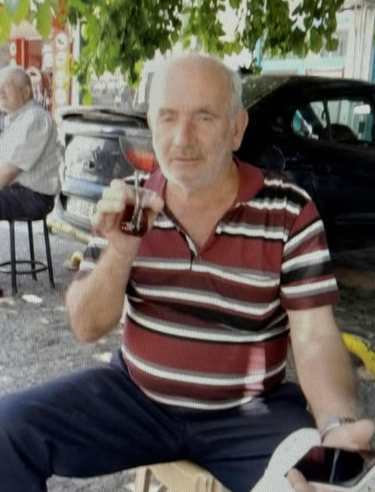 Samsun'da otomobilin çarptığı çoban hayatını kaybetti