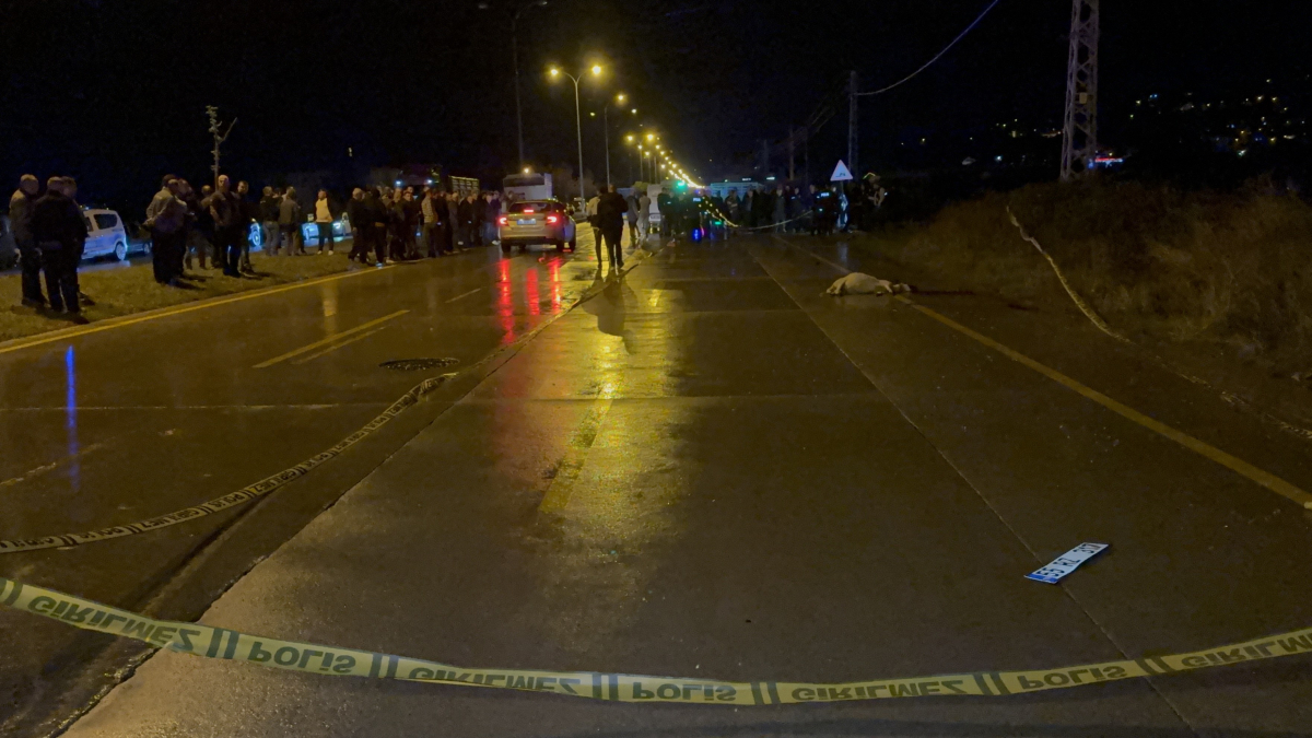 Samsun'da otomobilin çarptığı çoban hayatını kaybetti