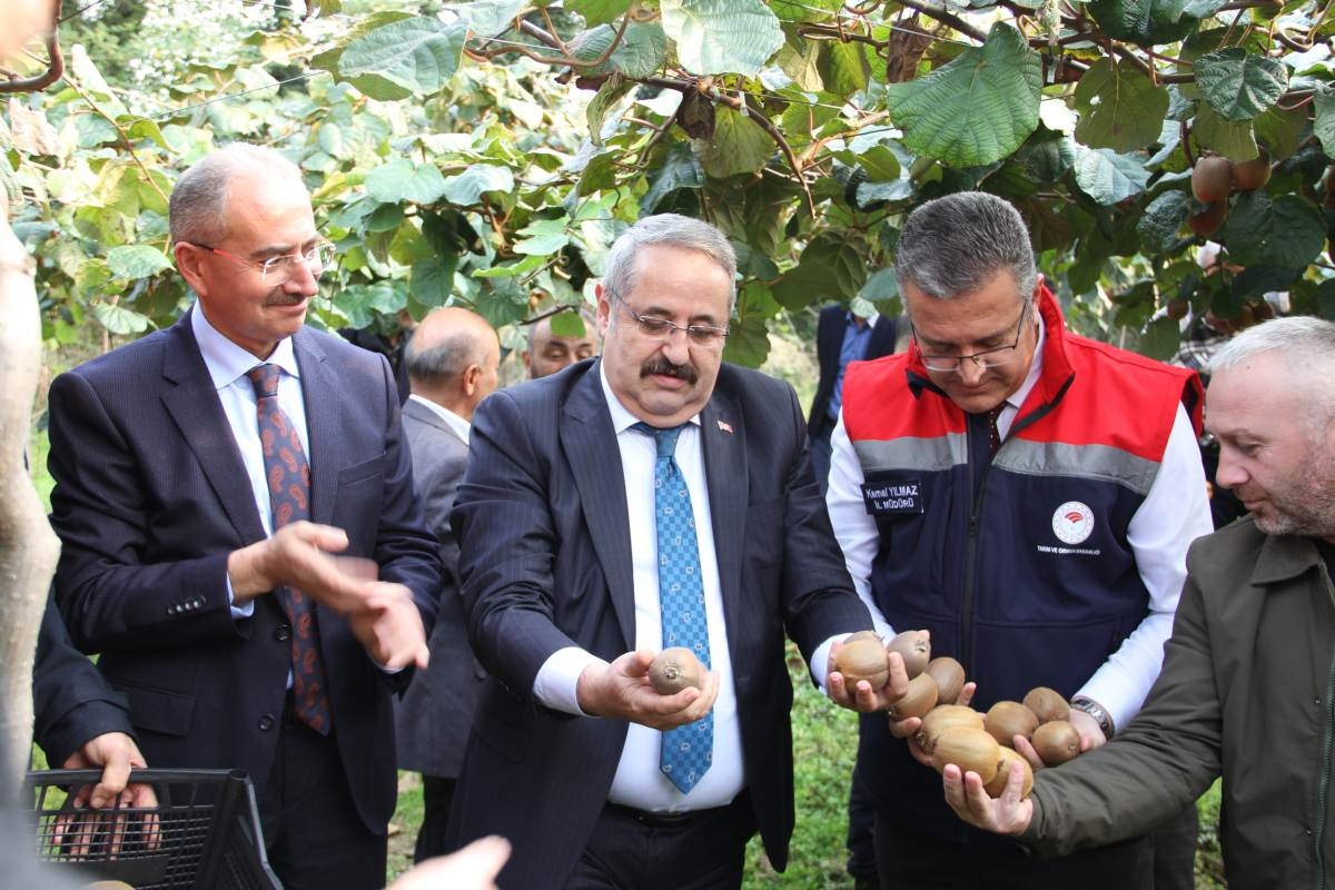 Samsun'da ‘2025 Yılı Kivi Hasat Etkinliği'