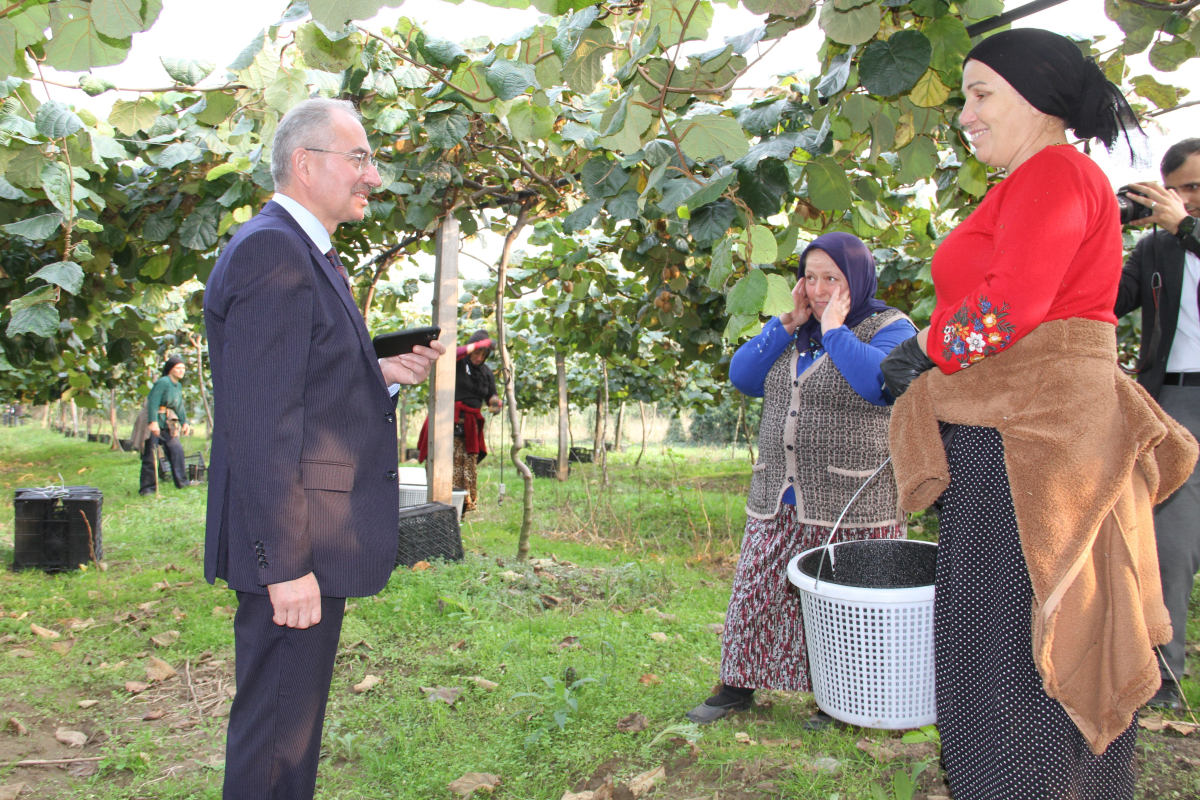 Samsun'da ‘2025 Yılı Kivi Hasat Etkinliği'