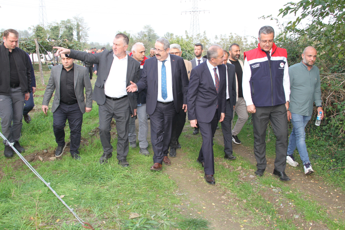 Samsun'da ‘2025 Yılı Kivi Hasat Etkinliği'
