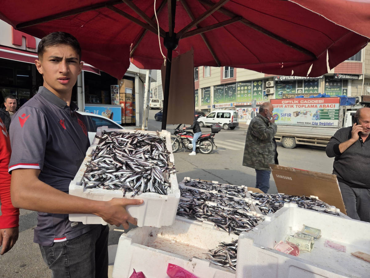 Fanatik balıkçı çıldırdı, hamsiyi 25 TL’den sattı