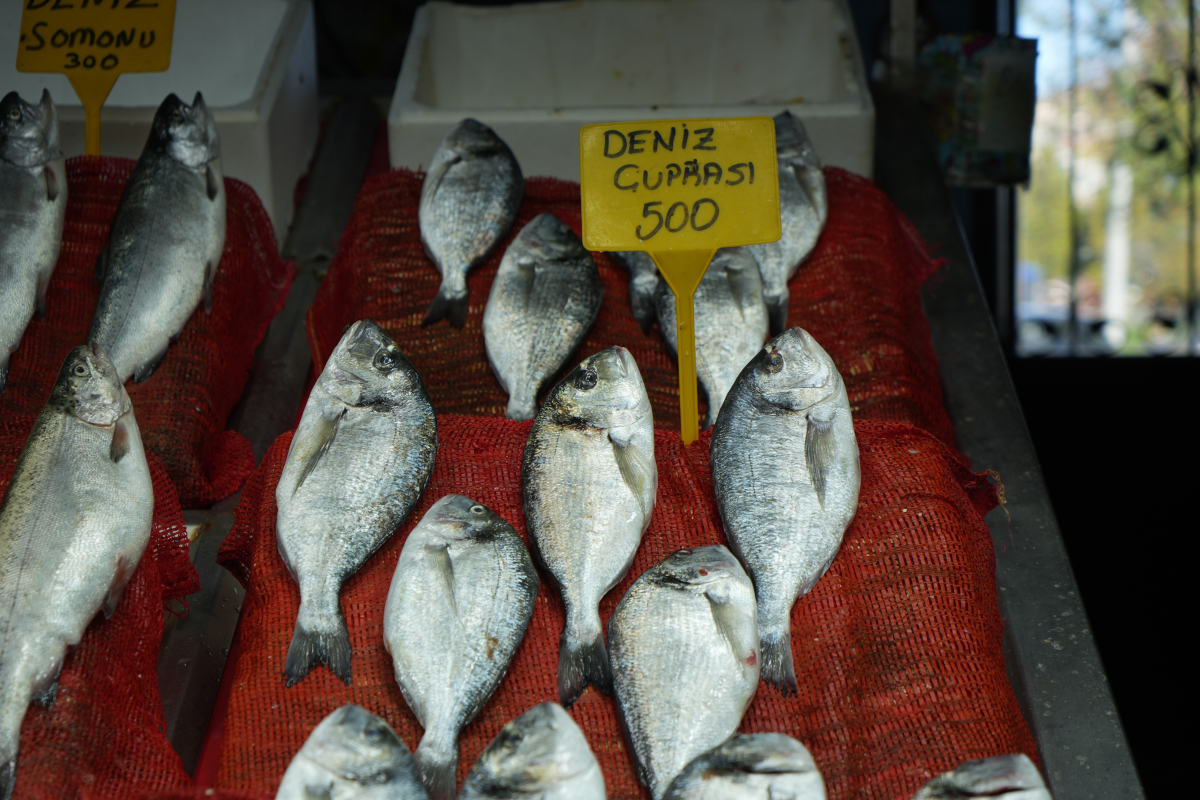 Samsun'da balık fiyatlarında son durum