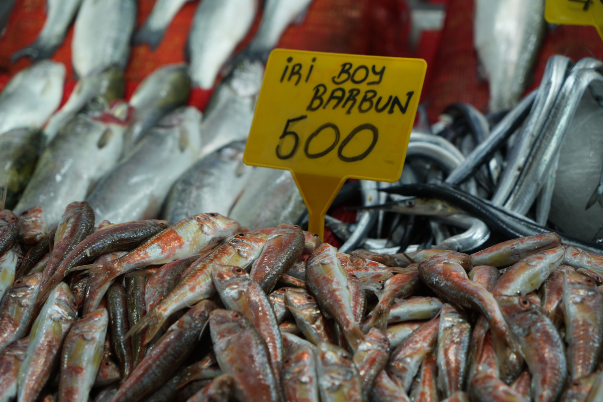 Samsun'da balık fiyatlarında son durum