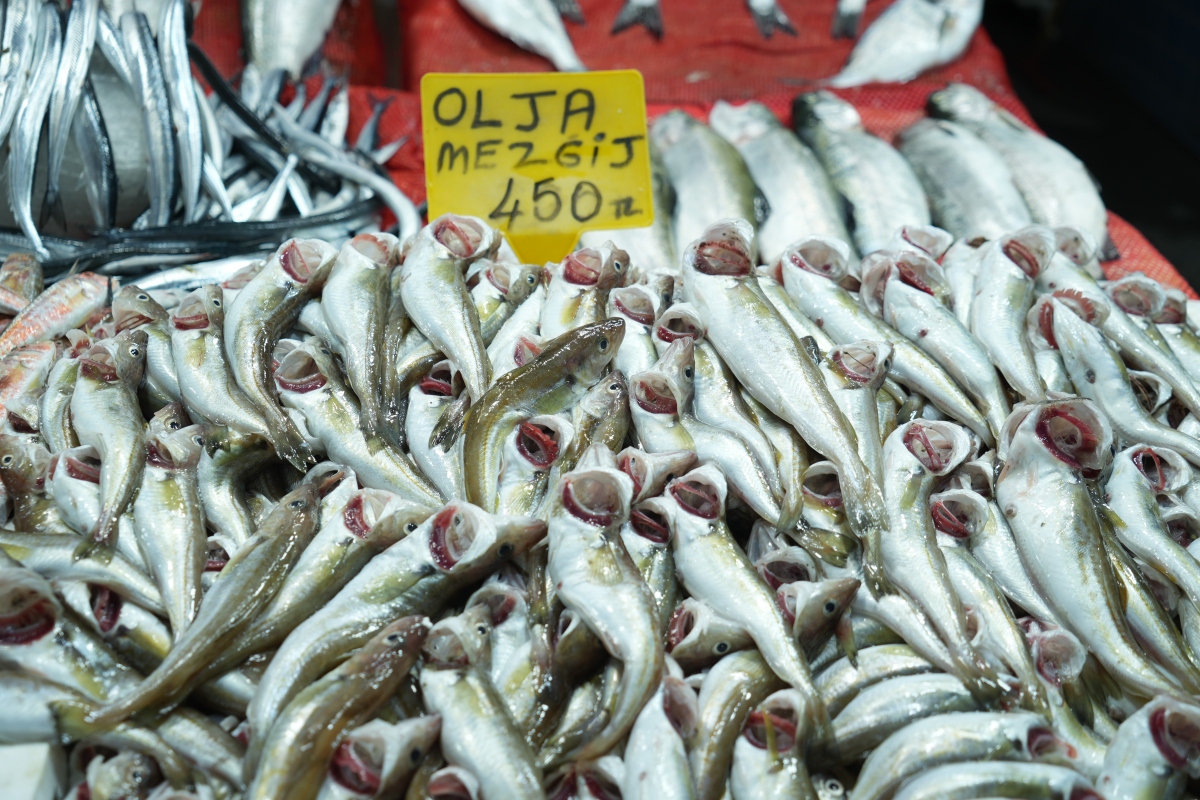 Samsun'da balık fiyatlarında son durum