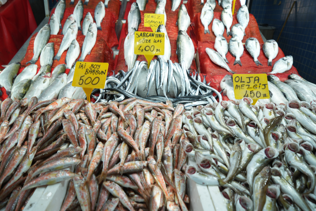 Samsun'da balık fiyatlarında son durum