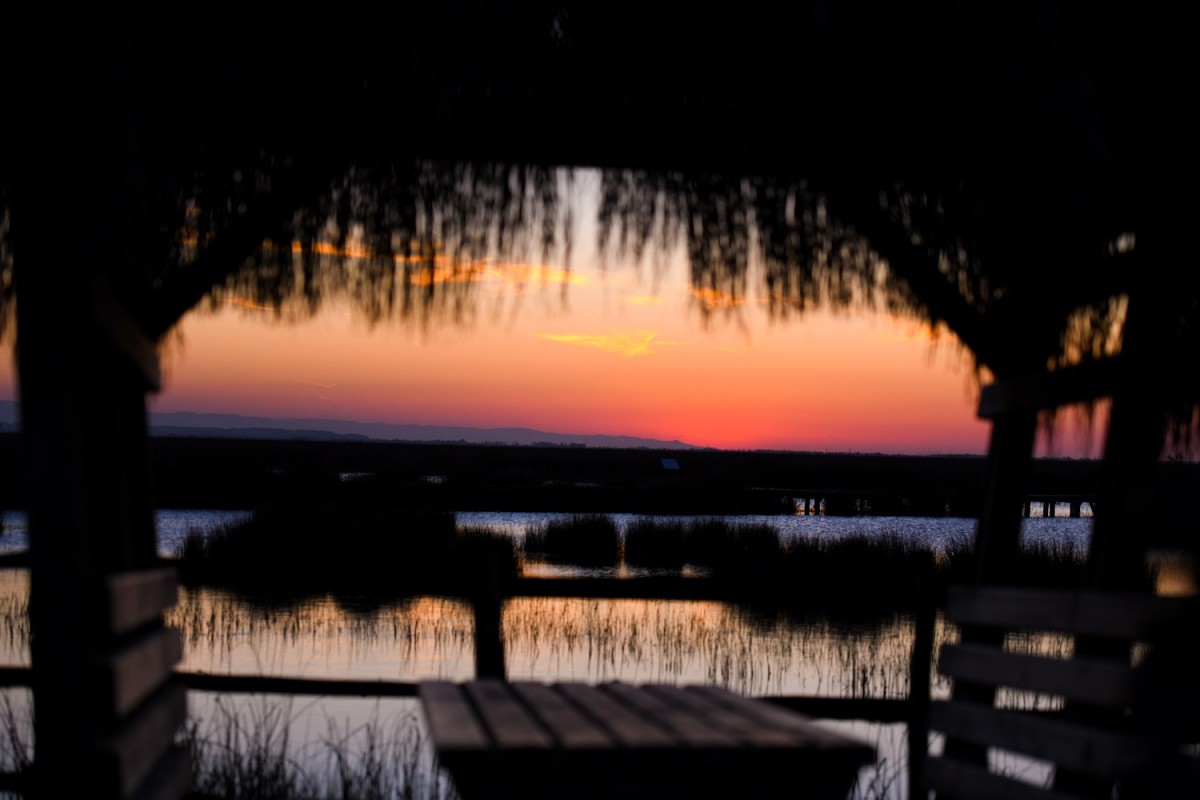 KUŞ CENNETİ’NDE SONBAHAR GÖZ KAMAŞTIRIYOR