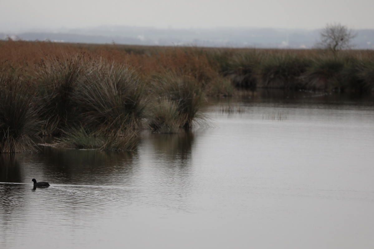 KUŞ CENNETİ’NDE SONBAHAR GÖZ KAMAŞTIRIYOR