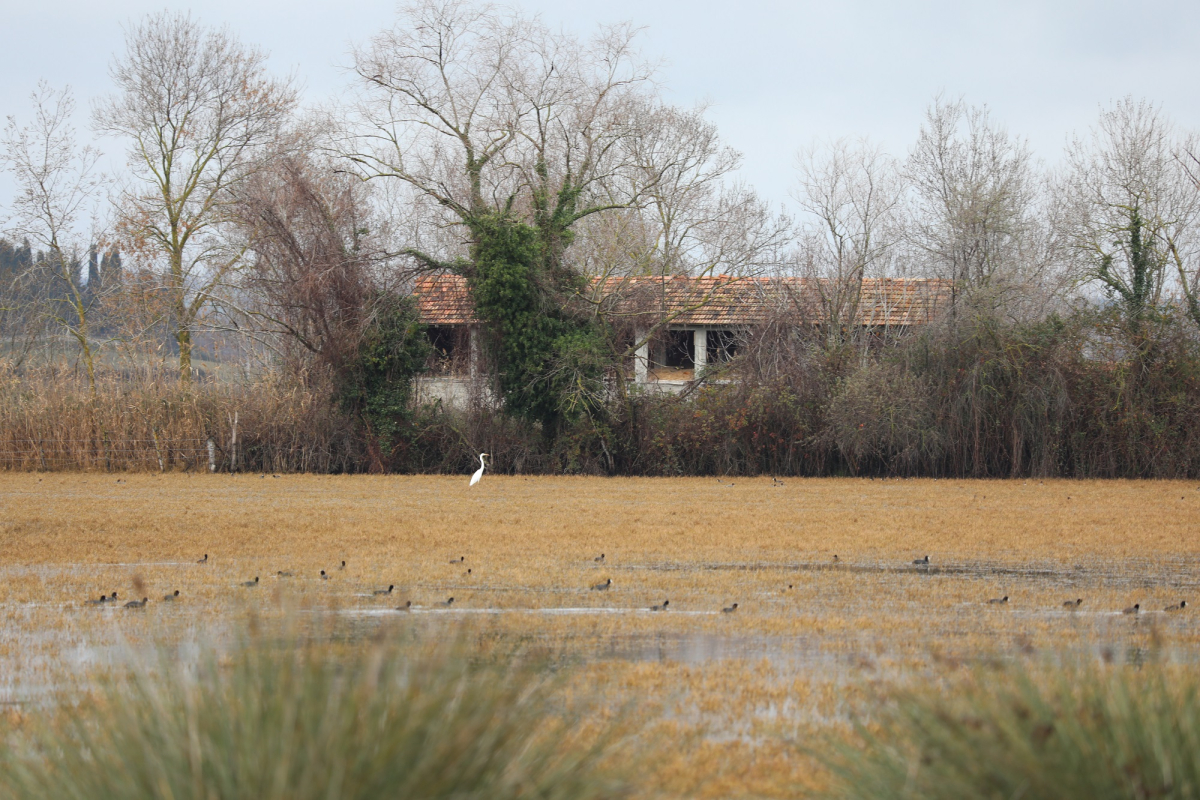 KUŞ CENNETİ’NDE SONBAHAR GÖZ KAMAŞTIRIYOR