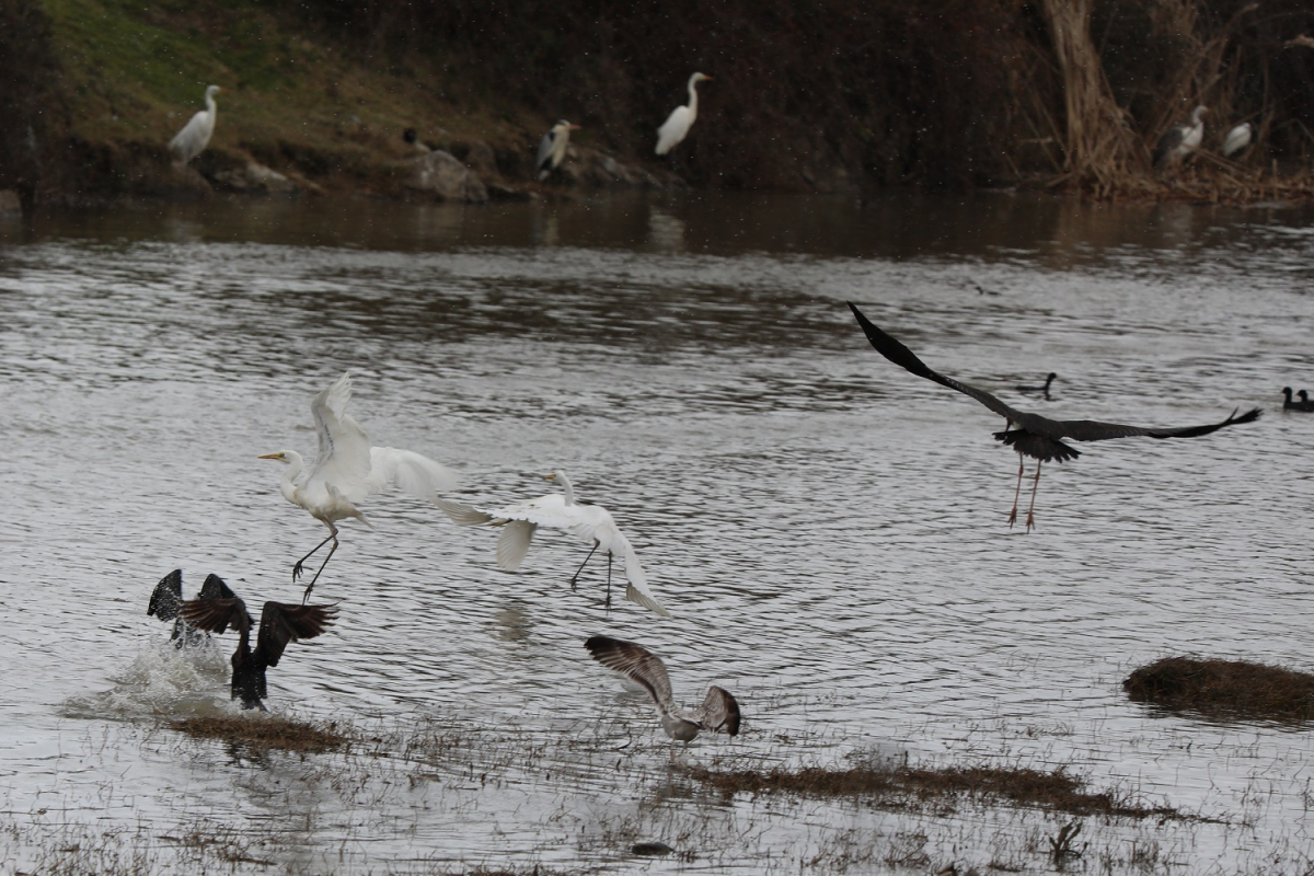 KUŞ CENNETİ’NDE SONBAHAR GÖZ KAMAŞTIRIYOR