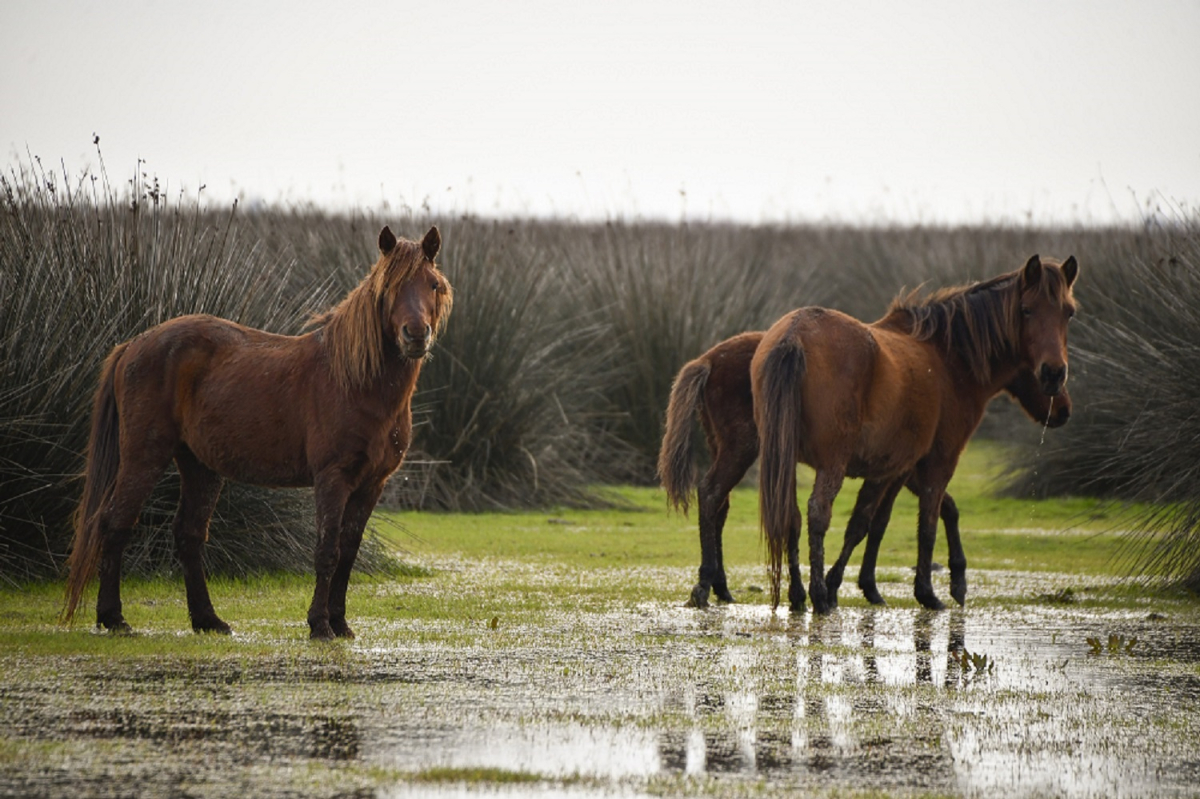 KUŞ CENNETİ’NDE SONBAHAR GÖZ KAMAŞTIRIYOR