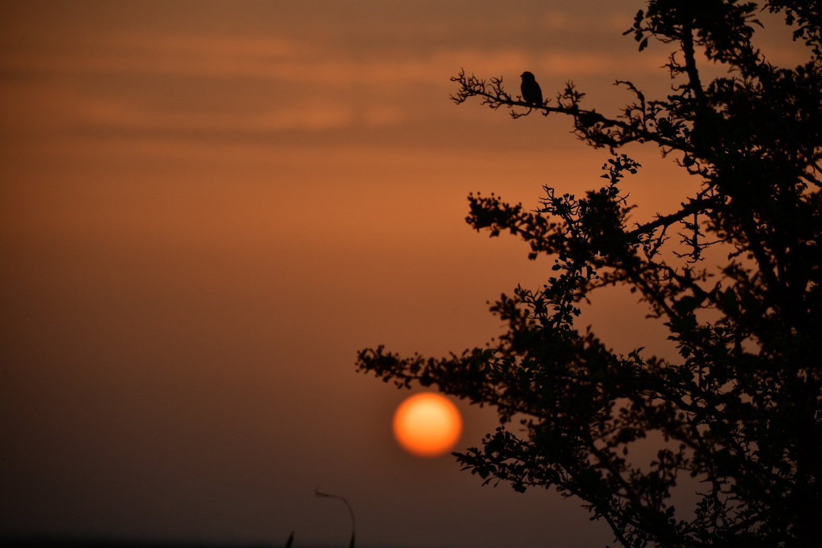 KUŞ CENNETİ’NDE SONBAHAR GÖZ KAMAŞTIRIYOR
