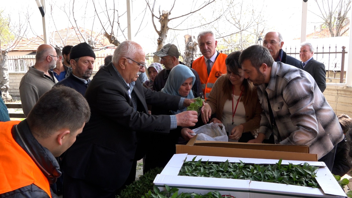 Atakum’da Çiftçiye 100 Bin Sebze Fidesi Desteği