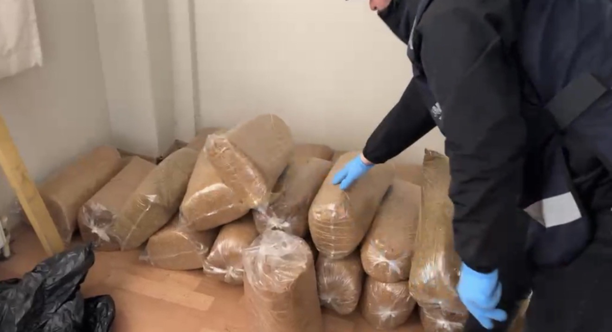 Samsun’da kaçak sigara atölyesine baskın: 275 kilo tütün ele geçirildi