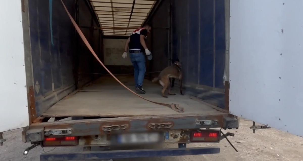 Samsun’da tıra gizlenmiş 132 kilo toz esrar ele geçirildi