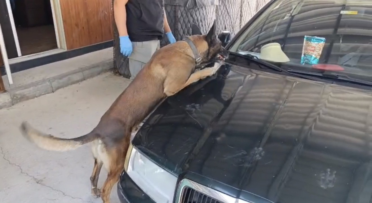 Samsun'da peş peşe uyuşturucu operasyonları: 1 kilo 225 gram metamfetamin ele geçirildi