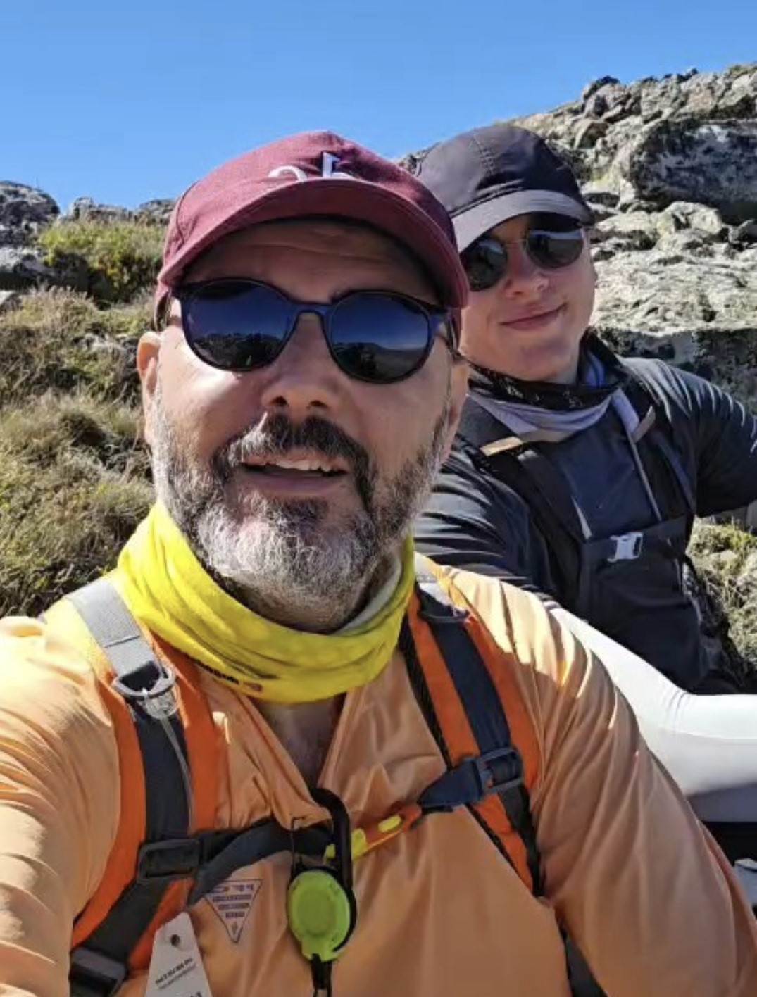 Çengel boynuzlu dağ keçi sürüsü, cerrahın objektifine yakalandı