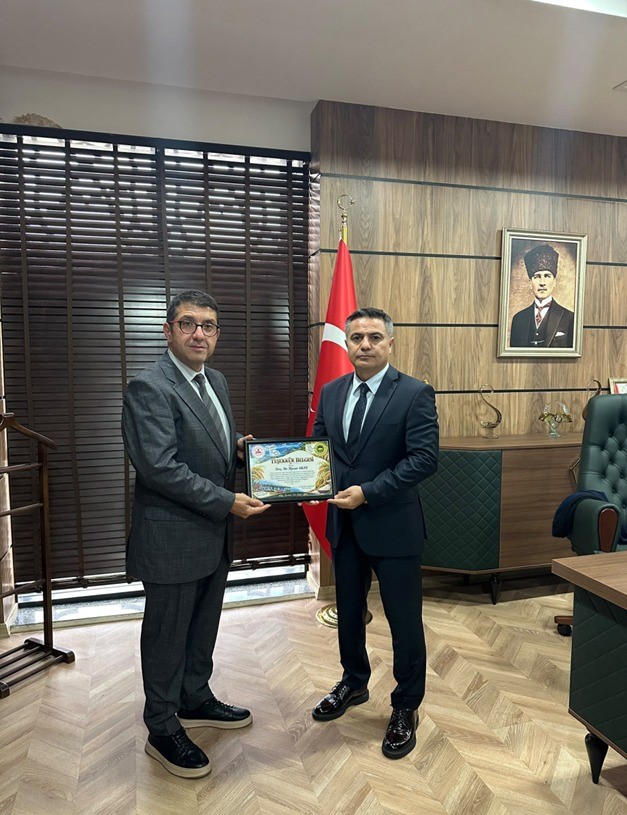 'Bafra pirinci' coğrafi işaretle tescillendi