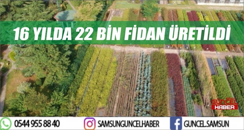 16 YILDA 22 BİN FİDAN ÜRETİLDİ