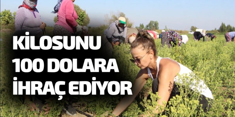 17 yıllık mesleğini bıraktı servetine servet kattı