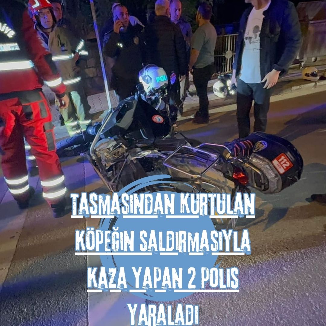 Tasmasından kurtulan köpeğin saldırmasıyla kaza yapan 2 polis yaraladı