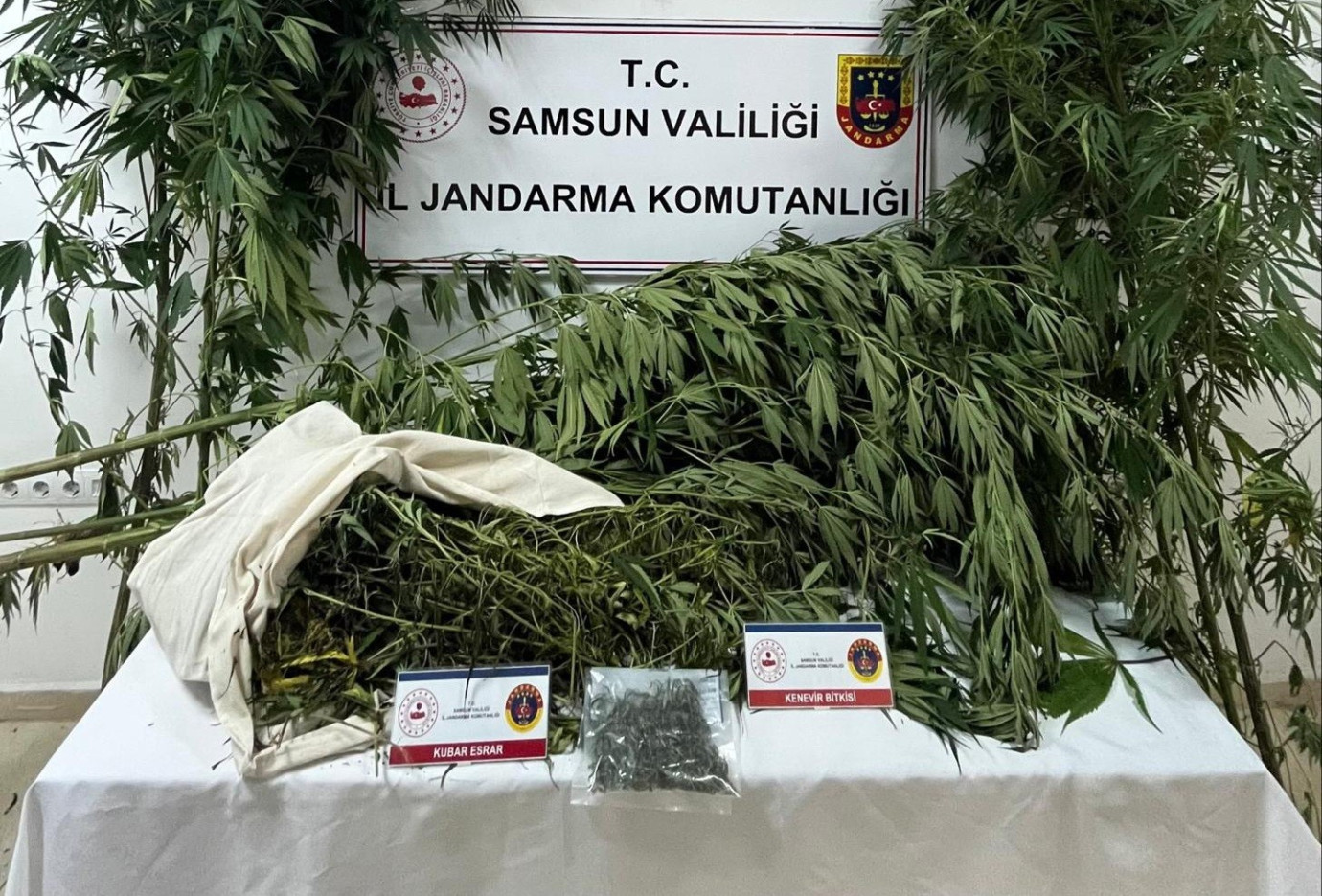  Samsun'da jandarma kenevir ve kubar esrar ele geçirdi