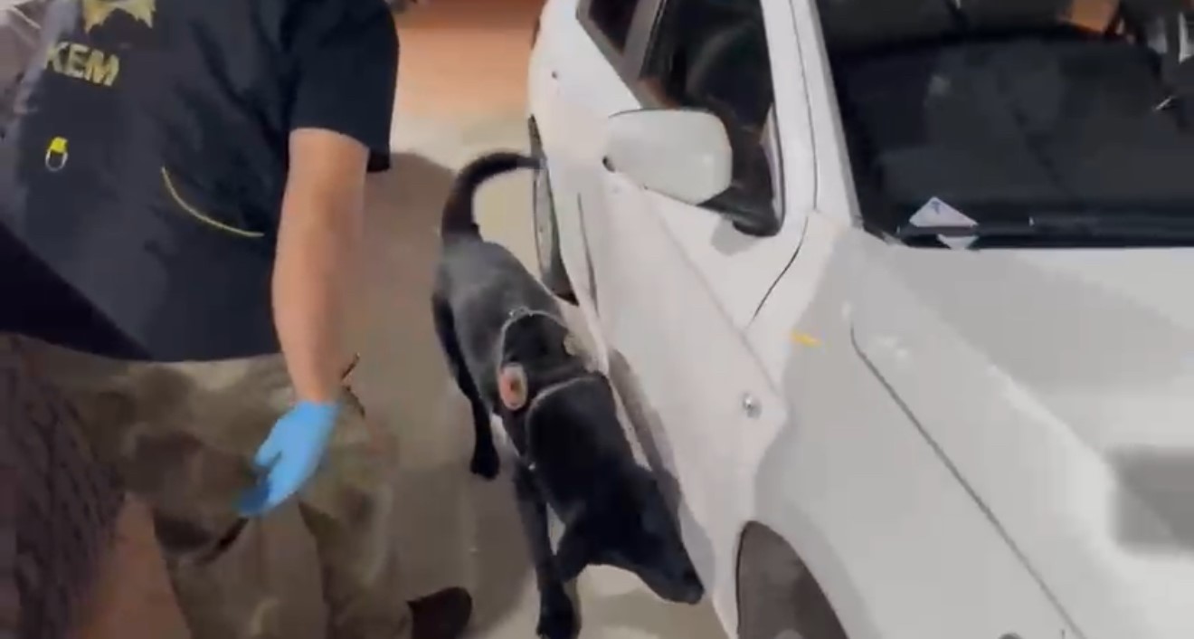 Kiralık araçla uyuşturucu sevkiyatı yapan baba-oğul yakalandı