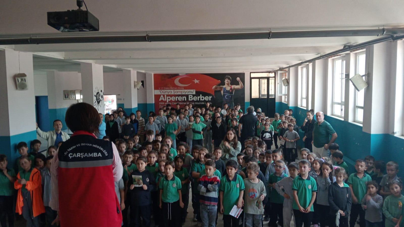Çarşamba'da tarımda koruma ve mücadele çalışmaları