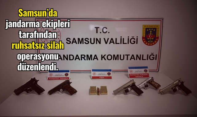 Jandarmadan ruhsatsız silah operasyonu