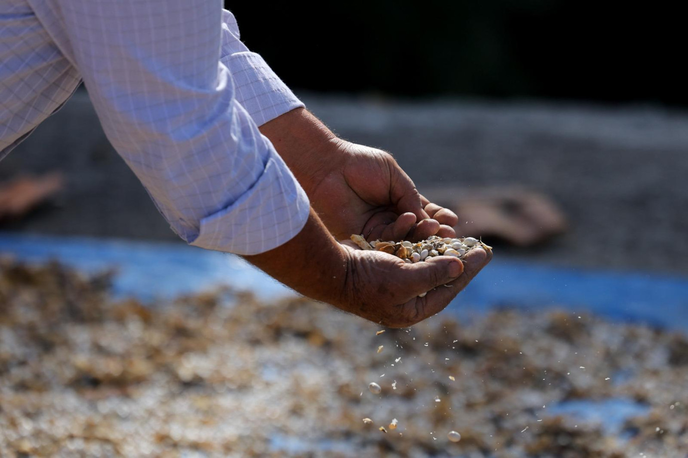 BÜYÜKŞEHİR BELEDİYESİ TARIMSAL ÜRETİMLE SOSYAL YARDIMLAŞMAYI AYNI NOKTADA BULUŞTURDU