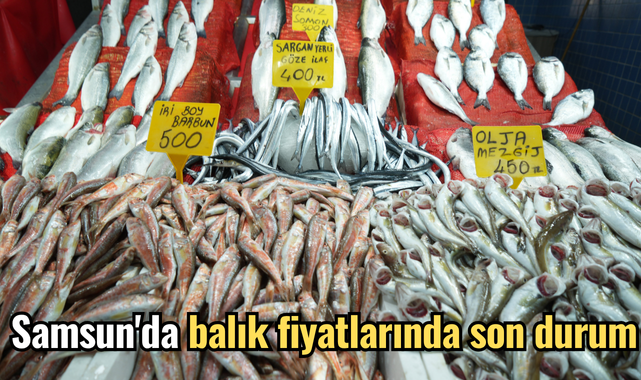 Samsun'da balık fiyatlarında son durum