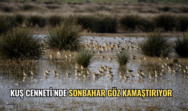KUŞ CENNETİ’NDE SONBAHAR GÖZ KAMAŞTIRIYOR