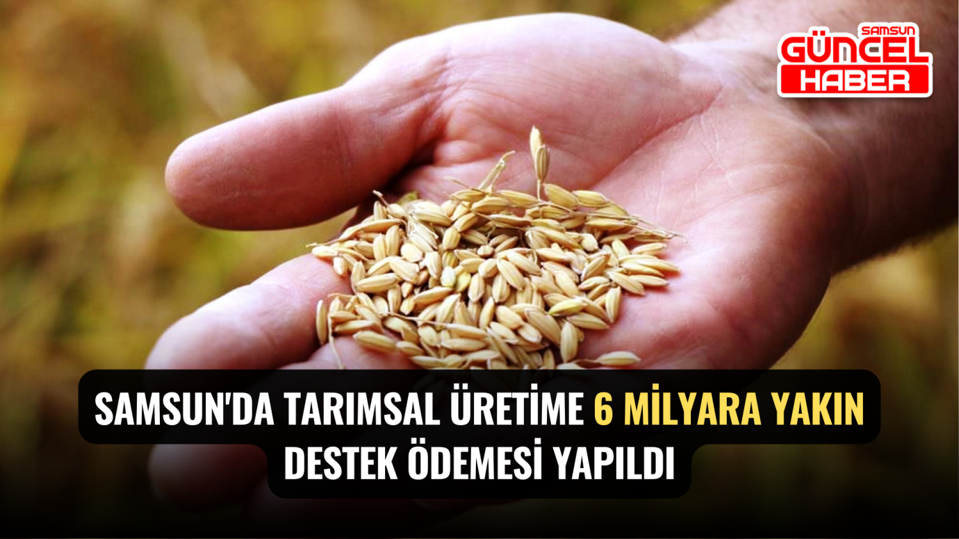 Samsun'da tarımsal üretime 6 milyara yakın destek ödemesi yapıldı