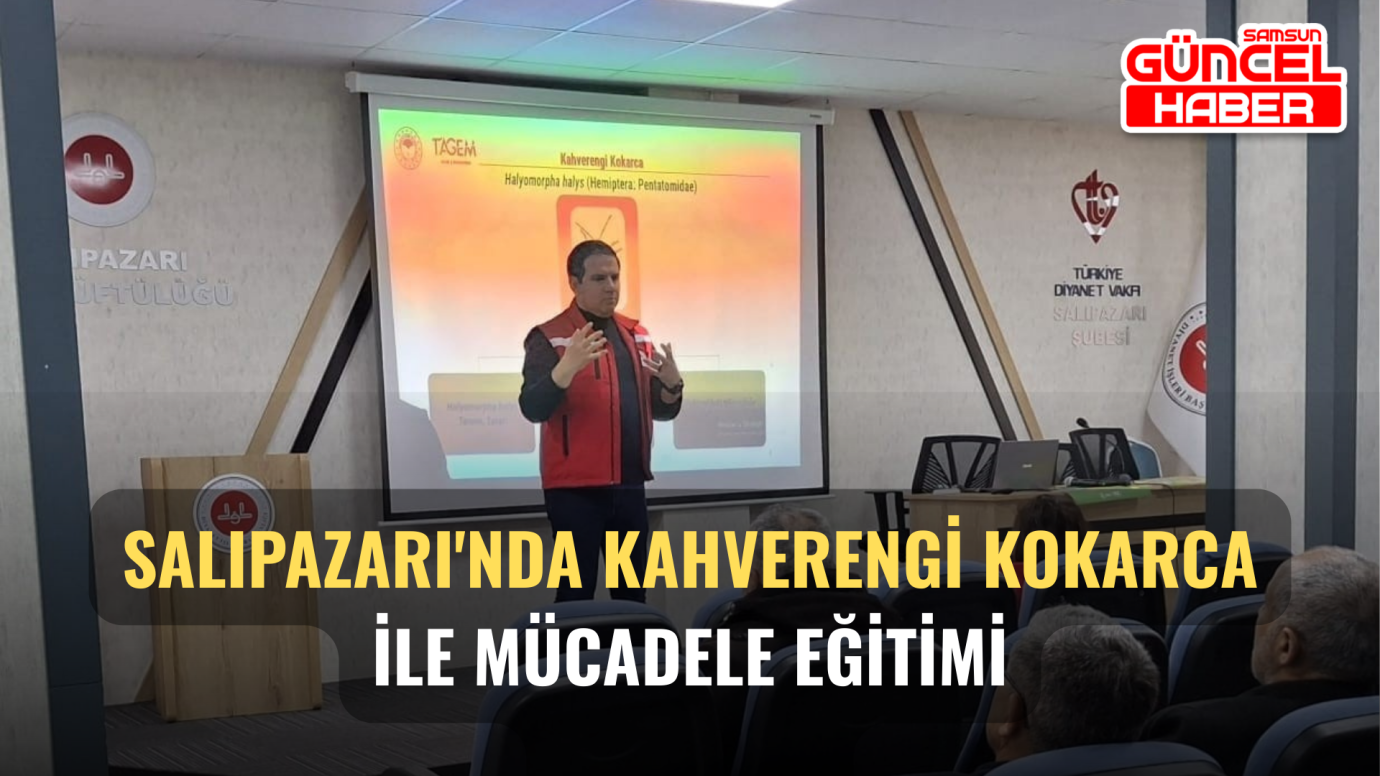 Salıpazarı'nda kahverengi kokarca ile mücadele eğitimi
