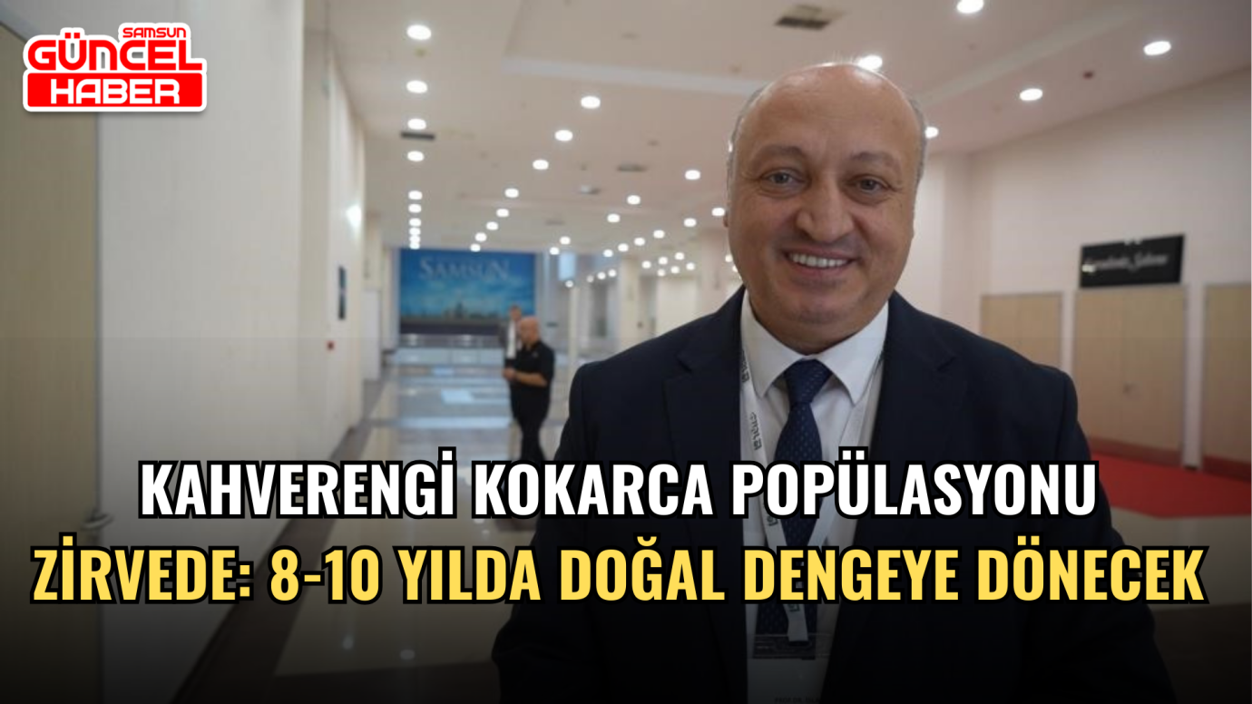 Kahverengi kokarca popülasyonu zirvede: 8-10 yılda doğal dengeye dönecek