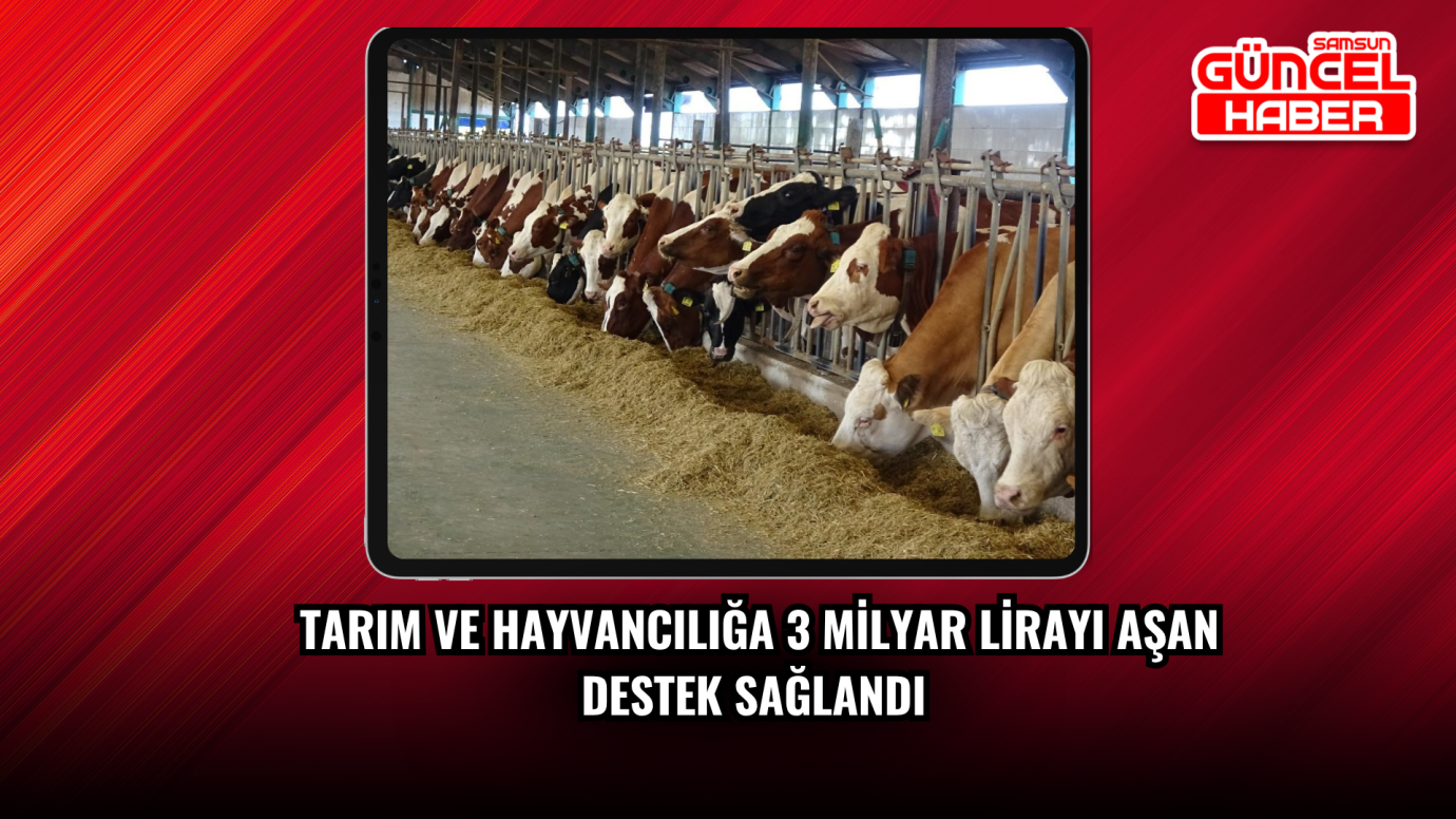 Samsun’da tarım ve hayvancılığa 3 milyar lirayı aşan destek sağlandı