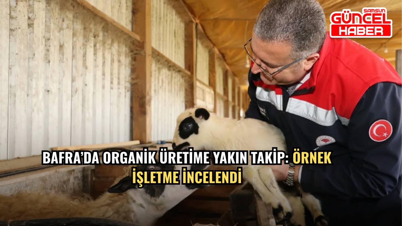 Bafra’da Organik Üretime Yakın Takip: Örnek İşletme İncelendi