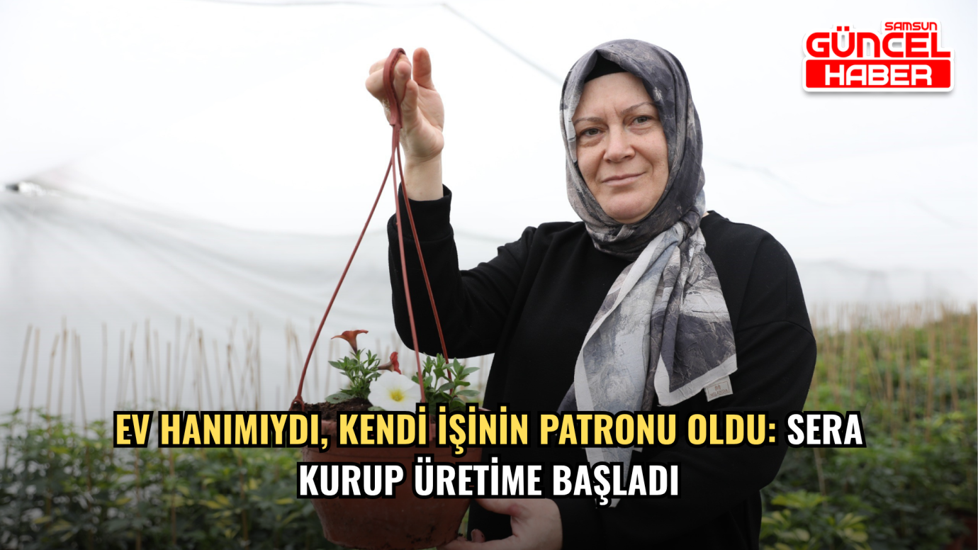 Ev hanımıydı, kendi işinin patronu oldu: Sera kurup üretime başladı