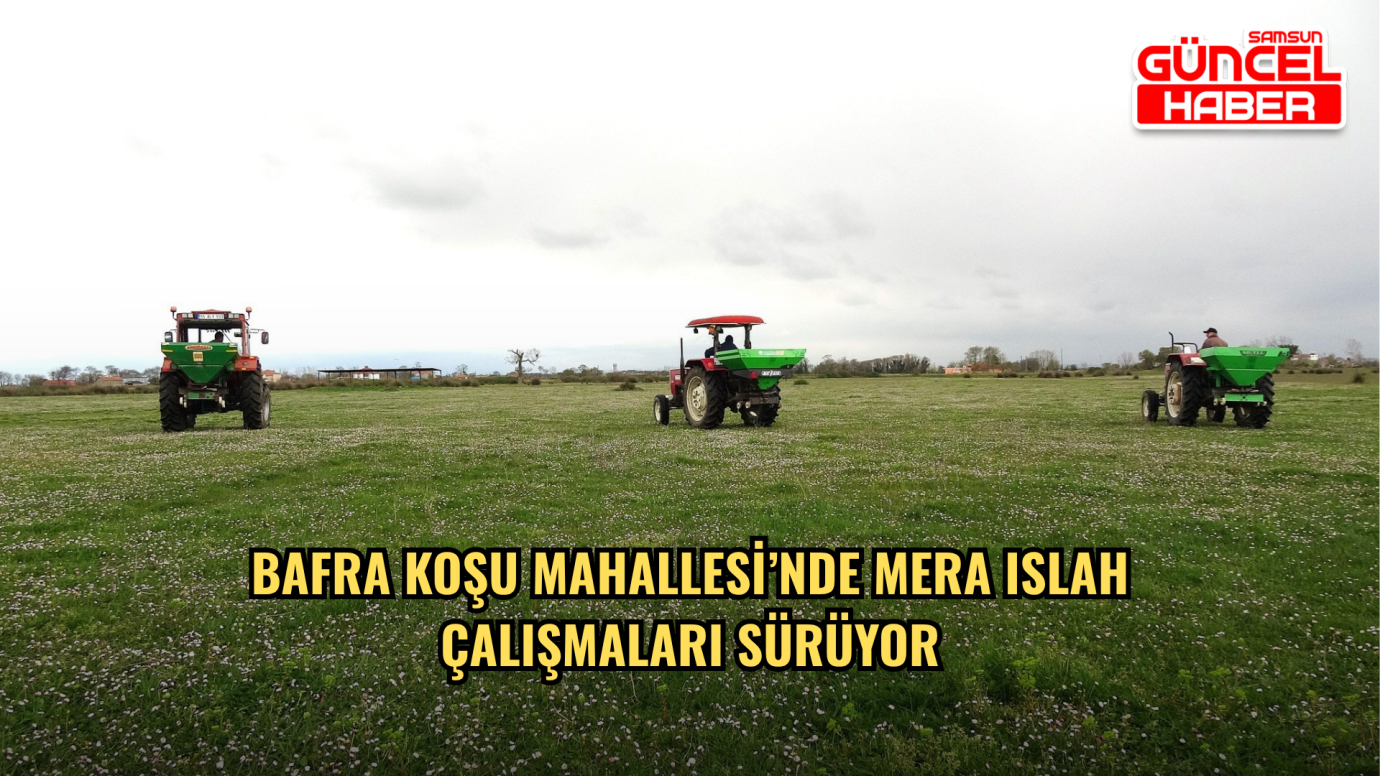 Bafra Koşu Mahallesi’nde Mera Islah Çalışmaları Sürüyor