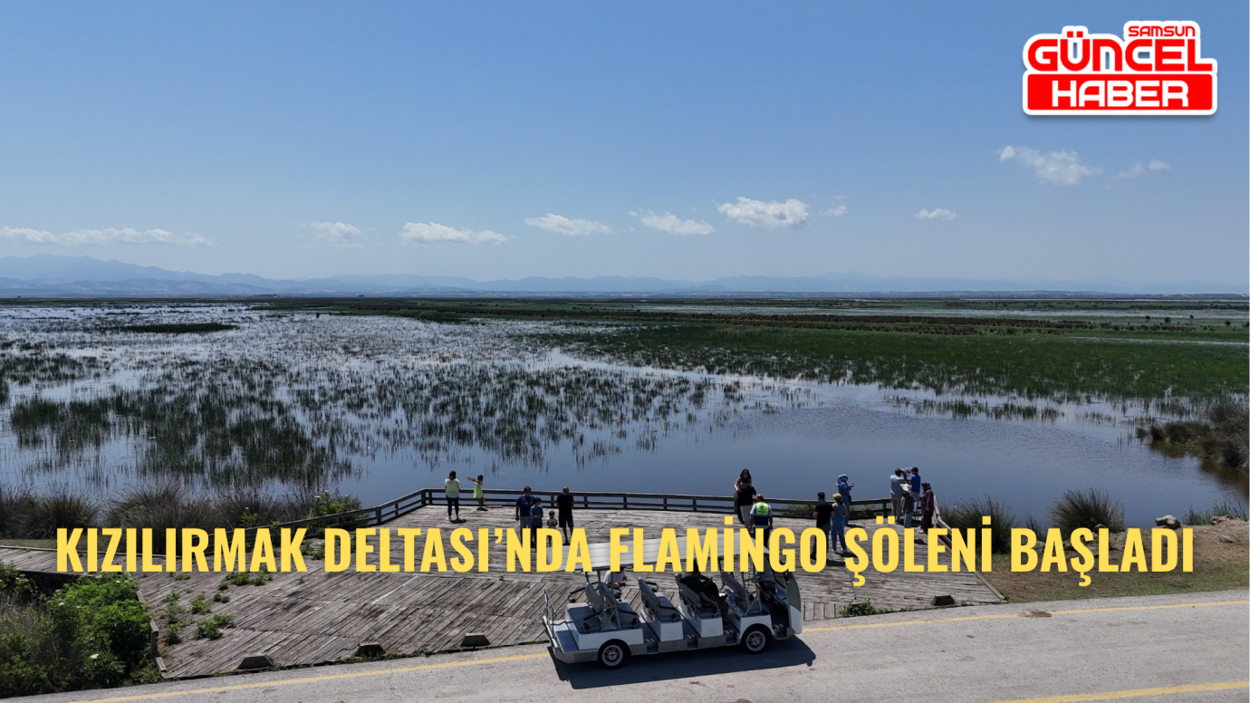 Kızılırmak Deltası’nda flamingo şöleni başladı