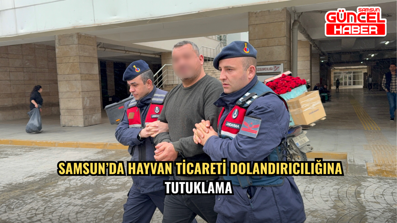 Samsun’da Hayvan Ticareti Dolandırıcılığına Tutuklama
