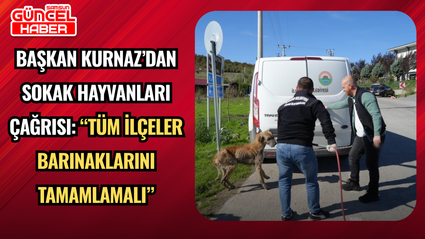 Başkan Kurnaz’dan Sokak Hayvanları Çağrısı: “Tüm İlçeler Barınaklarını Tamamlamalı”