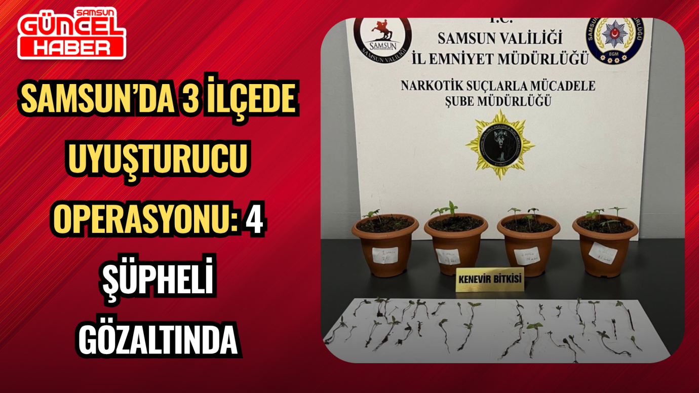 Samsun’da 3 İlçede Uyuşturucu Operasyonu: 4 Şüpheli Gözaltında