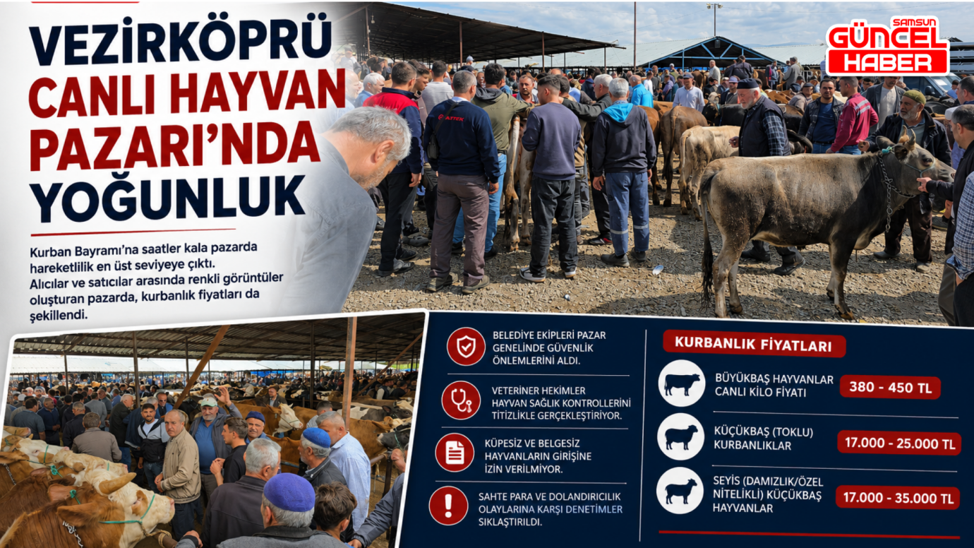 Vezirköprü Canlı Hayvan Pazarı'nda yoğunluk 