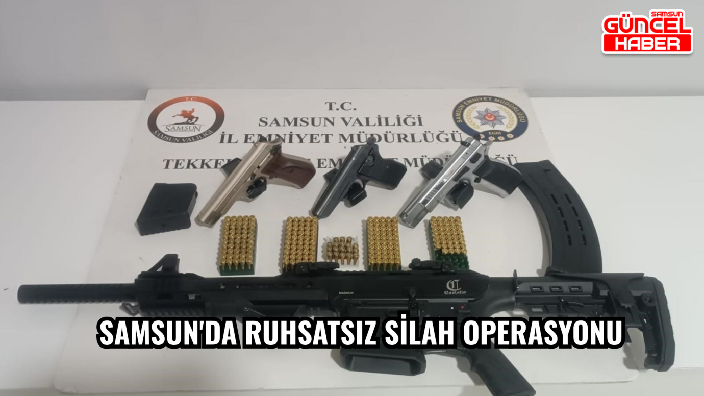 Samsun'da ruhsatsız silah operasyonu